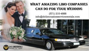 Wedding Transportation: Why What Company You Choose Matters